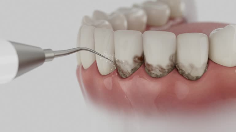 Reliable Dental contractor in Stanley, ND by Dentist Open Now